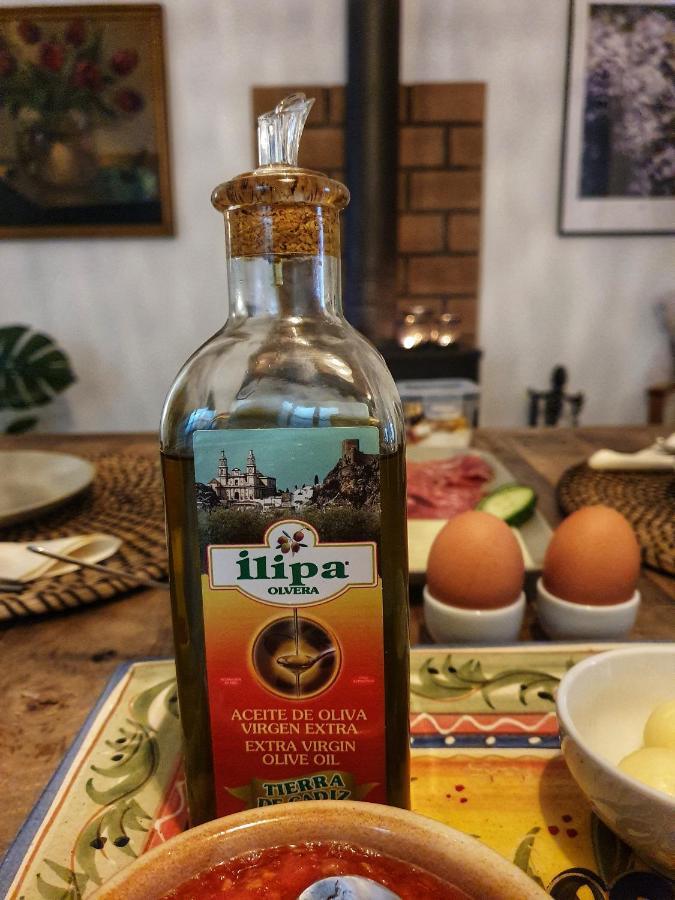 Alojamento de Acomodação e Pequeno-almoço Olive Tree Olvera