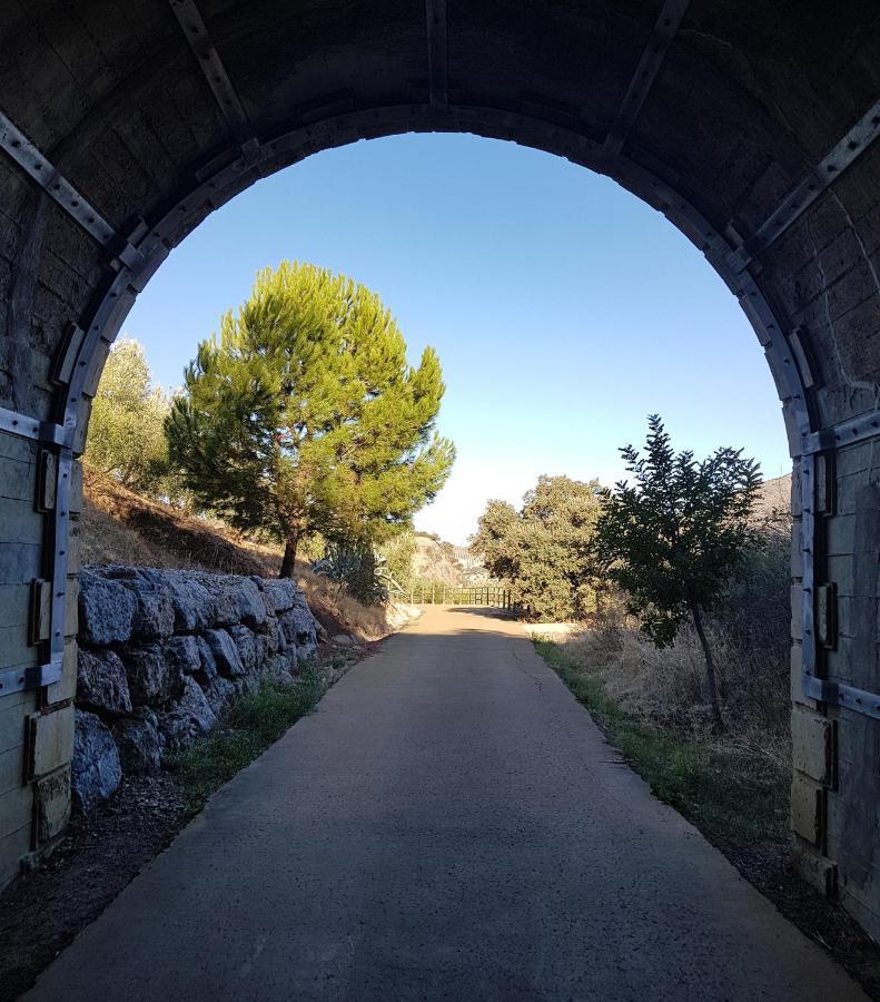 Bed & Breakfast Olive Tree Olvera